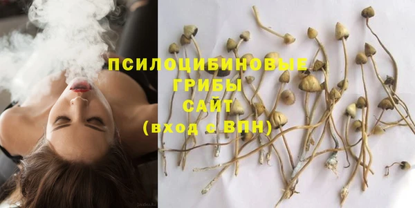 крисы Каменск-Шахтинский