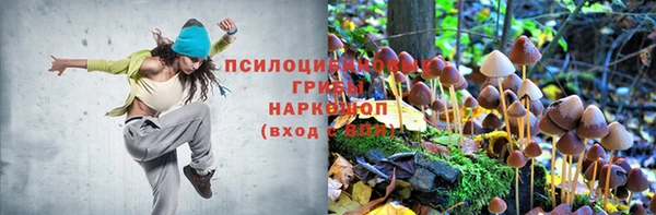 крисы Каменск-Шахтинский